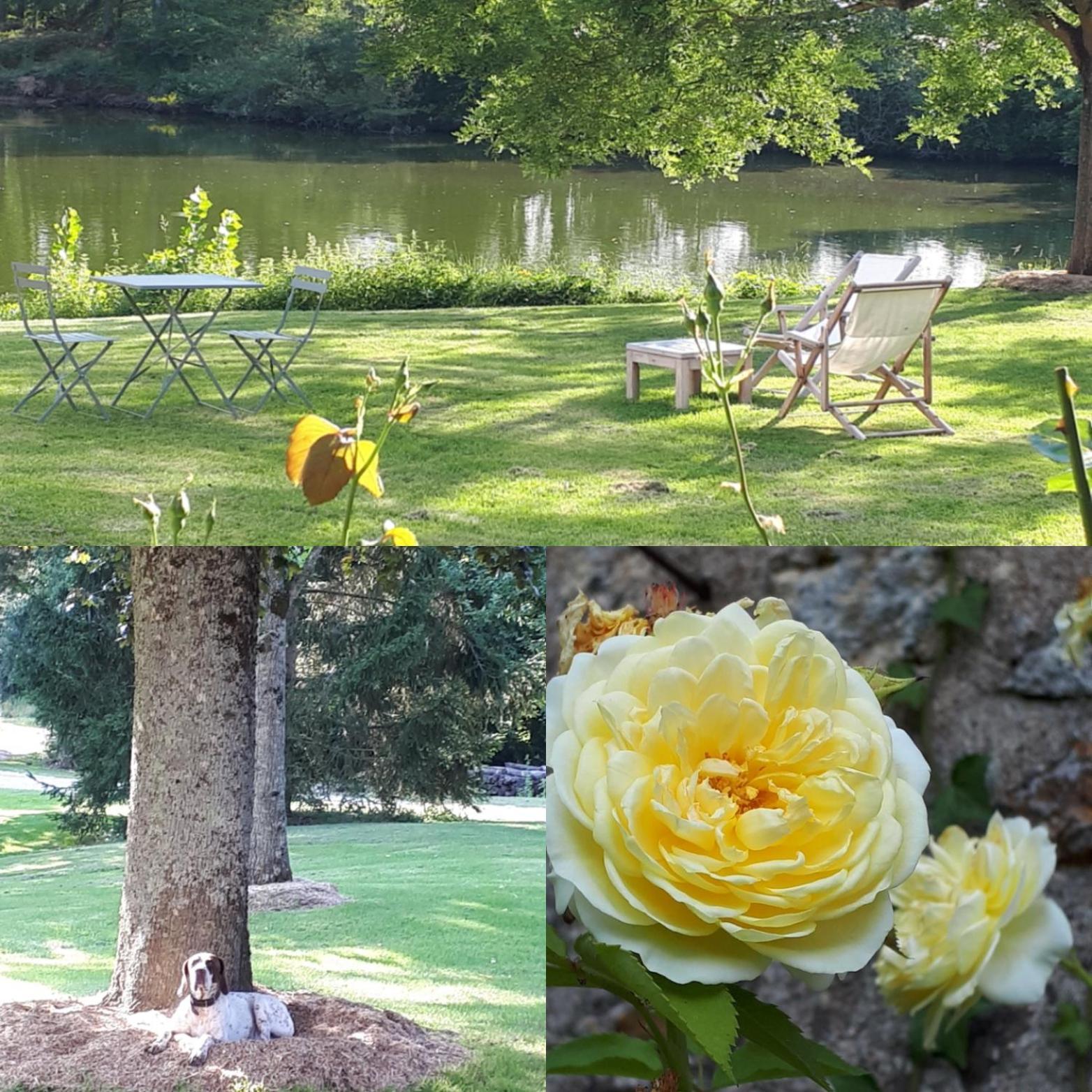 Domaine De La Guignardiere Viévy-le-Rayé Exteriör bild